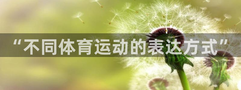vsport体育官网下载平台注册流程视频：“不同体育