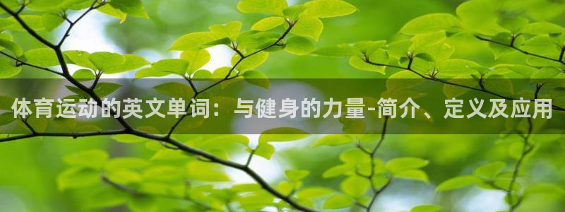 vsport体育官网下载注册：体育运动的英文单词：与