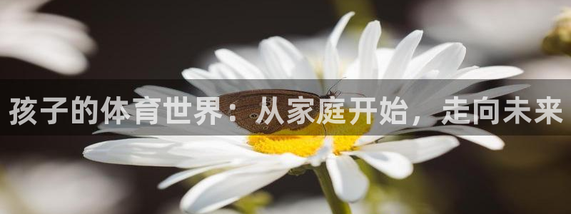 德国vsport体育官方正版app集团：孩子的体育世