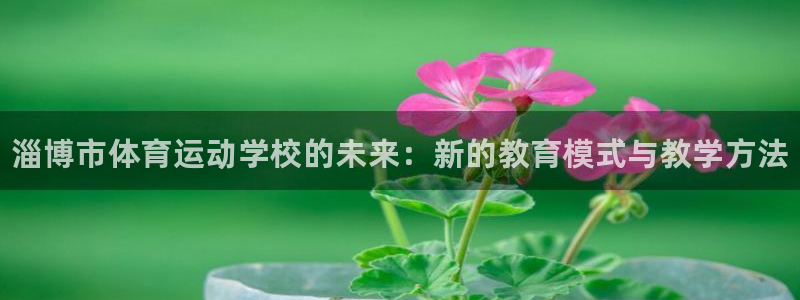 vsport体育官网下载软件：淄博市体育运动学校的未