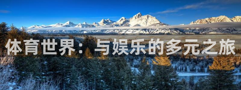vsport体育官网下载是干嘛的公司：体育世界：与娱