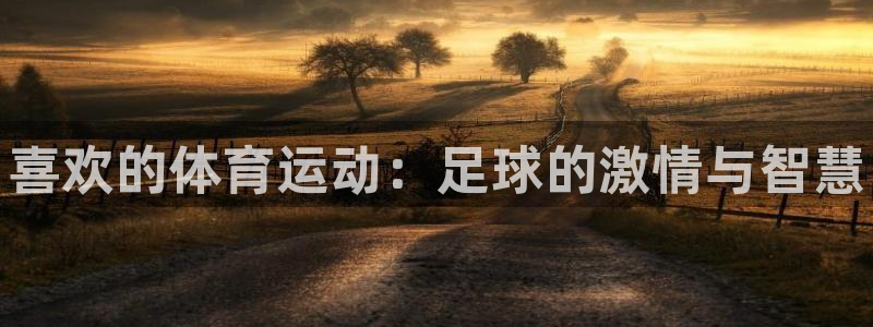 vsport体育官方正版app开户：喜欢的体育运动：足球的激
