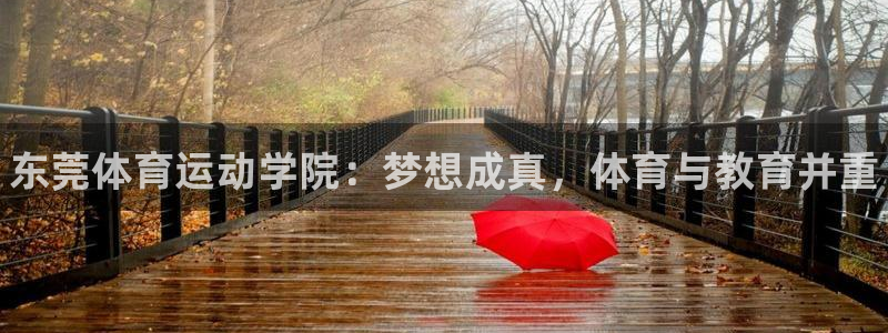vsport体育官网下载注册：东莞体育运动学院：梦想成真，体