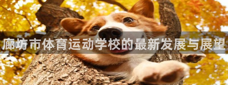 vsport体育官网下载平台注册：廊坊市体育运动学校