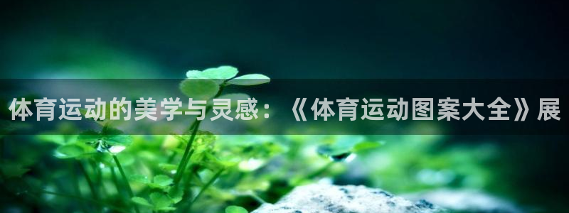 vsport体育官网下载平台注册：体育运动的美学与灵