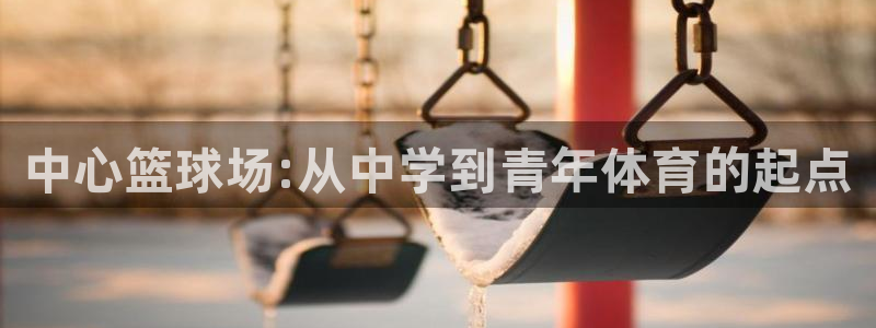 海南vsport体育官网下载：中心篮球场:从中学到青年体育的