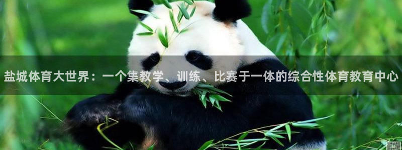 vsport体育官网下载招商电话地址查询：盐城体育大世界：一