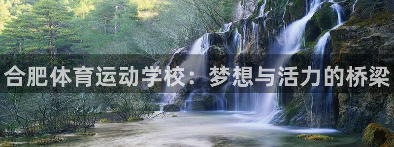 vsport体育官方正版app官方：合肥体育运动学校