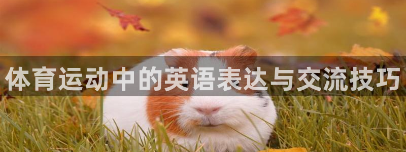 vsport体育官网下载平台假的吗是真的吗吗：体育运