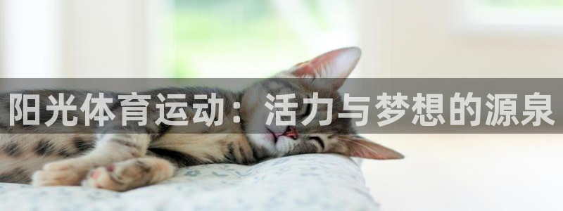 vsport体育官方正版app娱乐平台