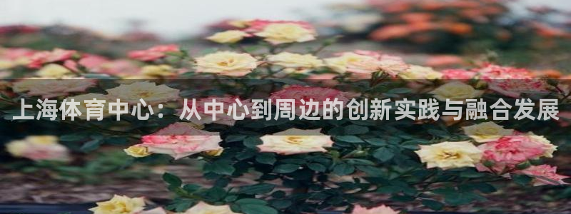vsport体育官网下载联系电话