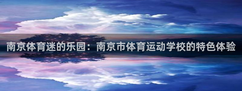 注册vsport体育官方正版app：南京体育迷的乐园