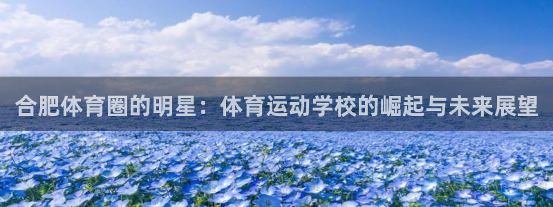 vsport体育官网下载招商电话是多少：合肥体育圈的明星：体