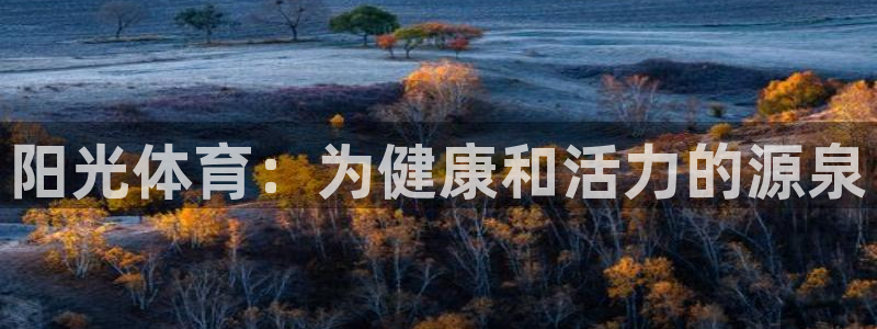vsport体育官网下载官方客服电话：阳光体育：为健
