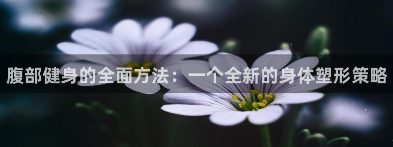 vsport体育官网下载平台是正规平台吗