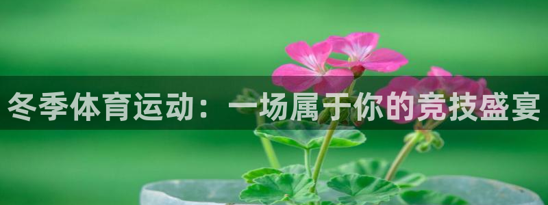 vsport体育官网下载招商电话号码：冬季体育运动：