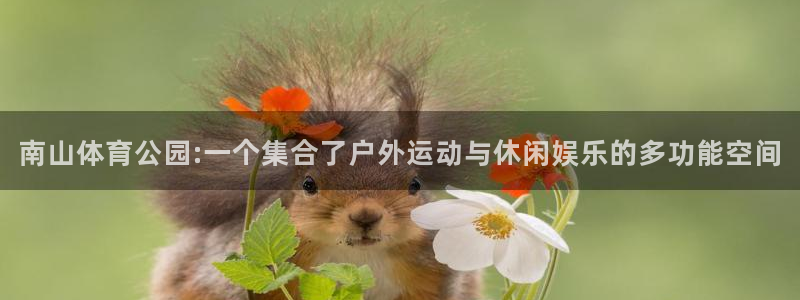 vsport体育官网下载联系电话