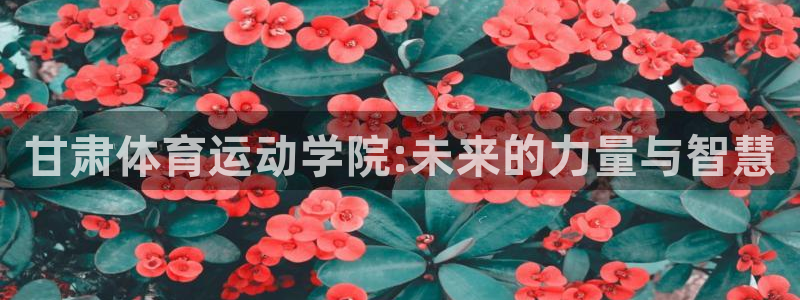 vsport体育官网下载招商电话号码是多少号：甘肃体