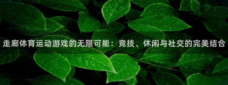 vsport体育官方正版app五金厂：走廊体育运动游