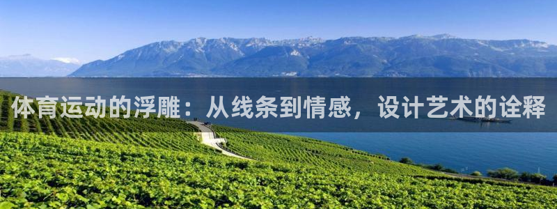 vsport体育官网下载平台注册流程视频：体育运动的