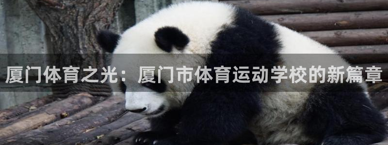 vsport体育官网下载平台是正规平台吗：厦门体育之