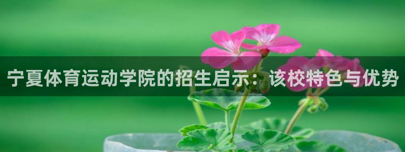 vsport体育官网下载平台是正规平台吗知乎：宁夏体育运动学