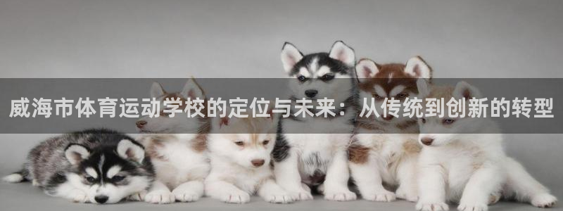 vsport体育官方正版app开户：威海市体育运动学