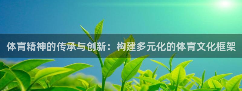 vsport体育官网下载招商电话地址是多少：体育精神的传承与
