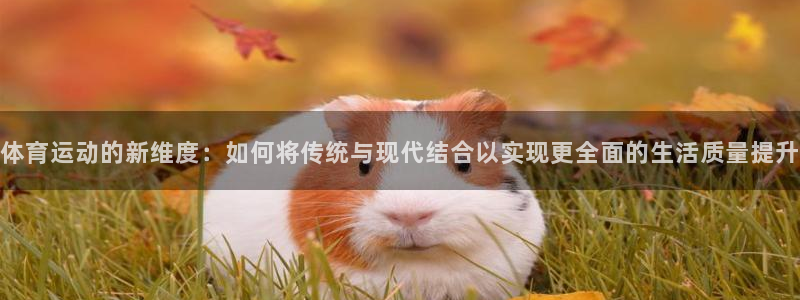 vsport体育官方正版app集团logo