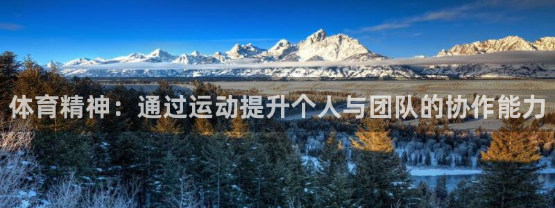 vsport体育官方正版app娱乐网站：体育精神：通过运动提