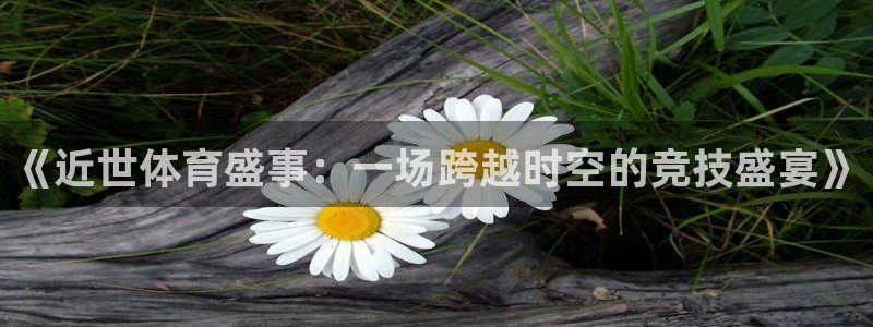vsport体育官网下载平台APP：《近世体育盛事：一场跨越