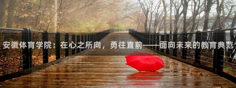 vsport体育官网下载平台注册：安徽体育学院：在心之所向，