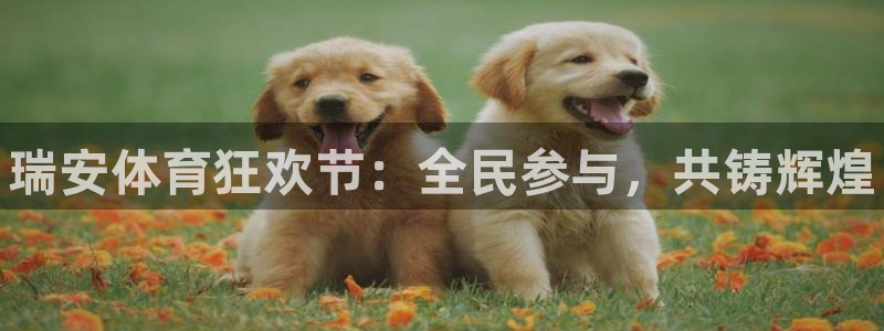vsport体育官网下载招商电话号码是多少：瑞安体育