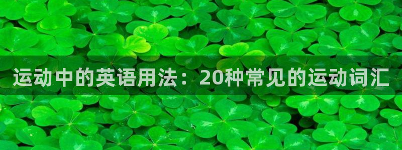 vsport体育官方正版app集团logo：运动中的英语用法