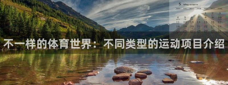 vsport体育官方正版app代理：不一样的体育世界：不同类