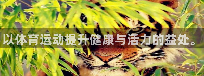 vsport体育官网下载是干嘛的公司