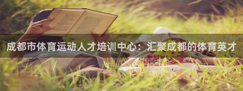 vsport体育官方正版app官方：成都市体育运动人