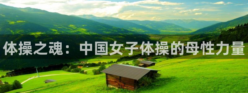 vsport体育官网下载平台注册流程视频：体操之魂：