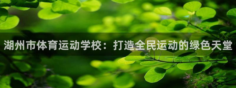VSport体育平台-胜利因您更精彩