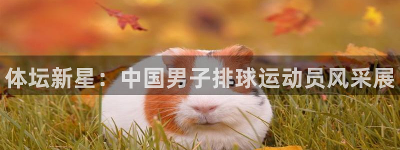 vsport体育官网：体坛新星：中国男子排球运动员风采展