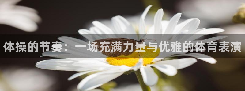 vsport体育在线官网：体操的节奏：一场充满力量与优雅的体