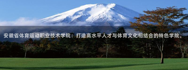 vsport体育平台app下载安装免费：安徽省体育运动职业技