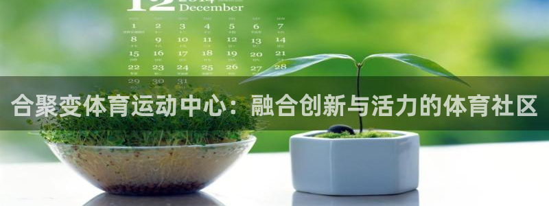  vsport体育在线官网：合聚变体育运动中心：融合创新与活力