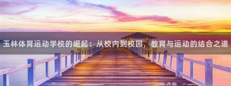 vsport体育平台app下载安装免
