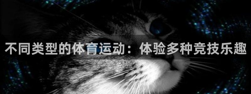vsport体育：不同类型的体育运动