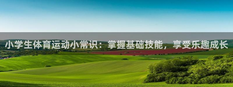 vsport体育阿根廷：小学生体育运动小常识：掌握基础技能，
