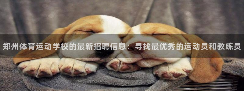 vsport体育阿根廷：郑州体育运动