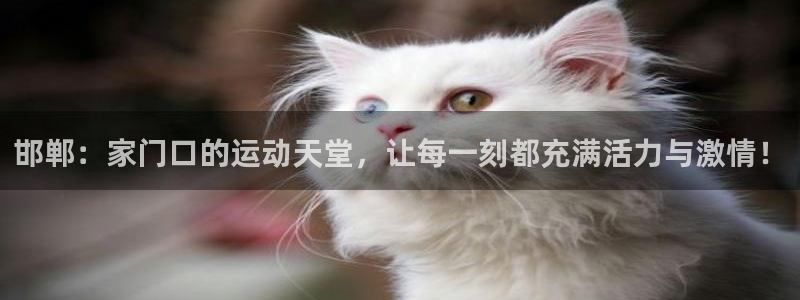 vsport体育平台app下载安装免费：邯郸：家门口的运动天