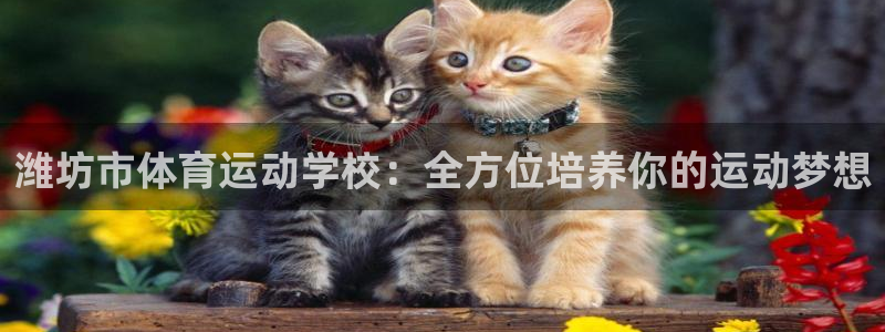  vsport体育阿根廷：潍坊市体育运动学校：全方位培养你的运