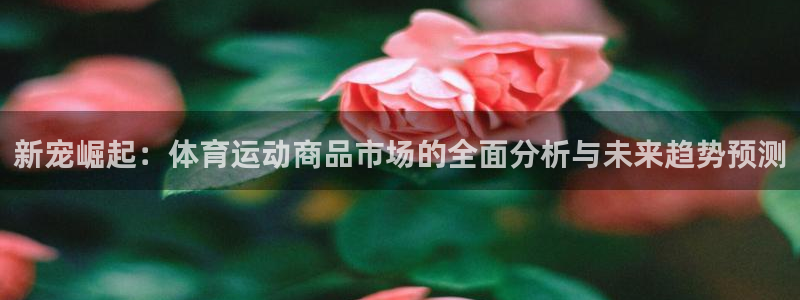 vsport体育平台app下载安装免费：新宠崛起：体育运动商